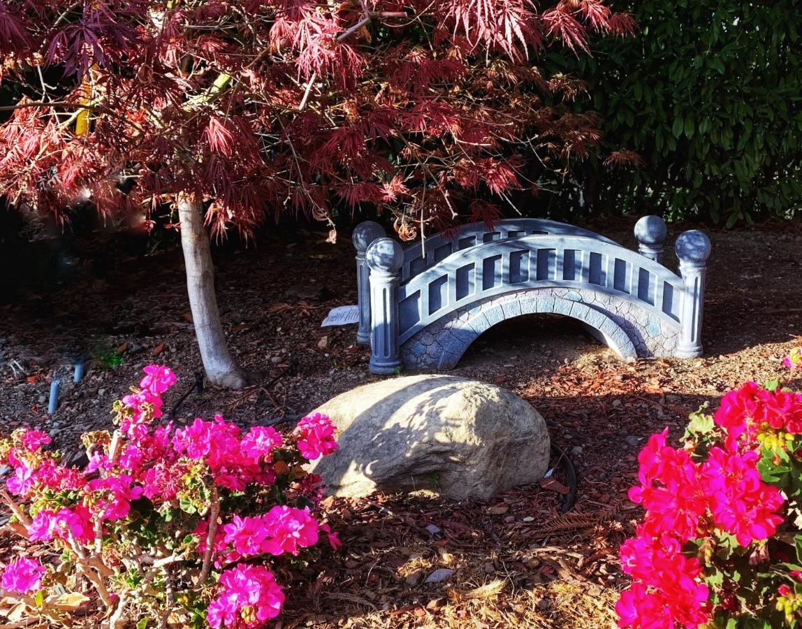 Little Paradise With Sauna Garden Near Downtown Saratoga Exterior photo