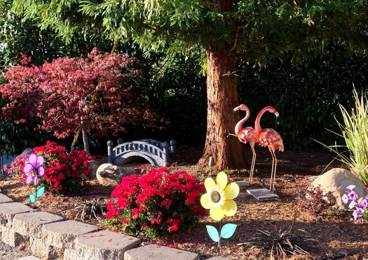 Little Paradise With Sauna Garden Near Downtown Saratoga Exterior photo