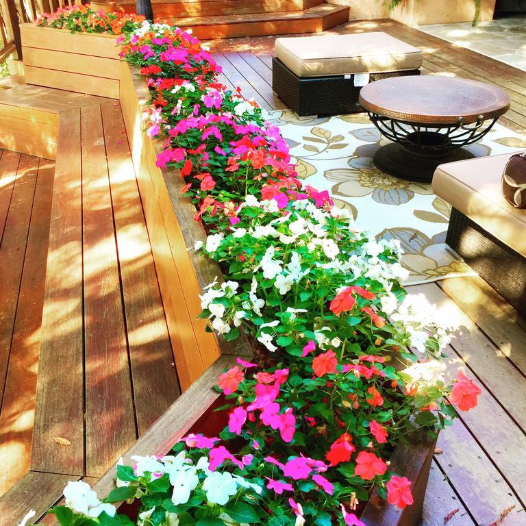 Little Paradise With Sauna Garden Near Downtown Saratoga Exterior photo